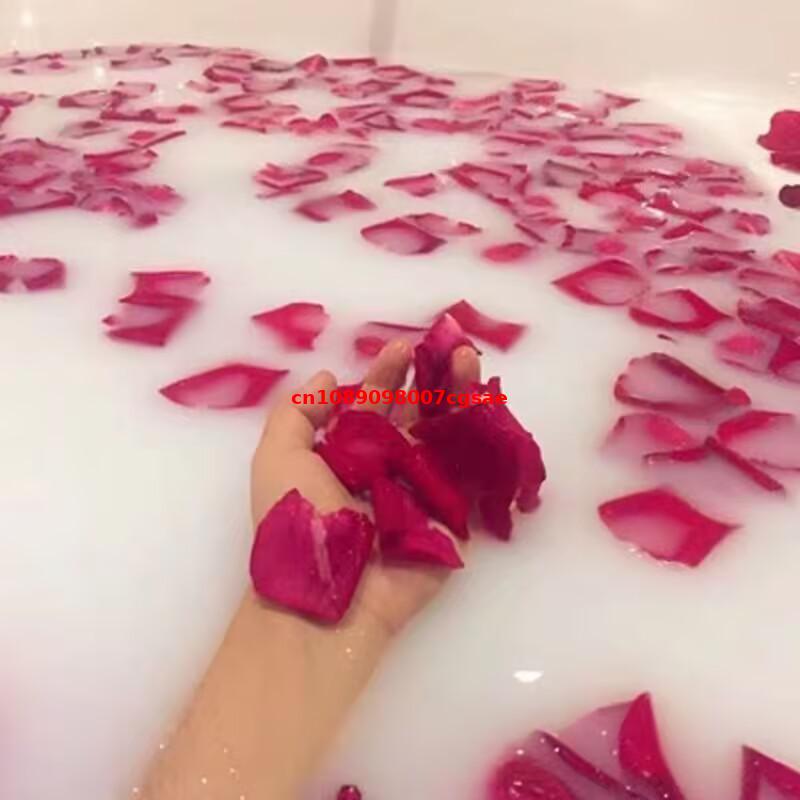 Candle Making Bath - กลีบกุหลาบธรรมชาติคุณภาพสูง ดอกกุหลาบแห้ง สำหรับอาบน้ำ แช่ตัว ทำสบู่ ทำเทียน